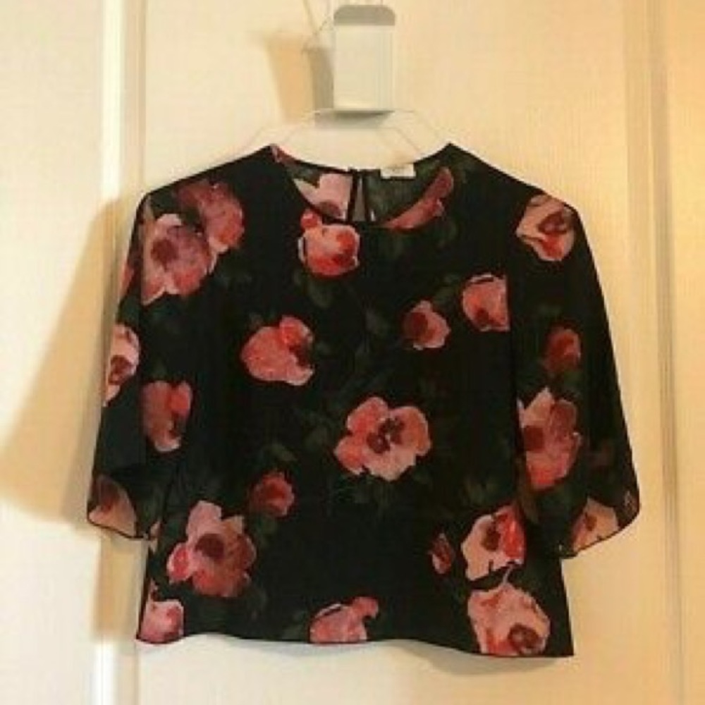 Aritzia Wilfred Cambrai blouse